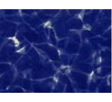 Пленка ПВХ для бассейна Haogenplast Galit NG Cool Sparks (тёмный мрамор) Antislip 1,65х10м